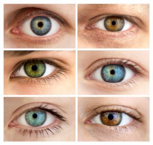 How is Eye Color Determined? Facts About Eye Colors