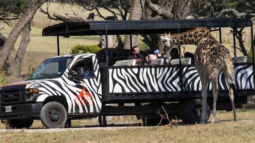 Fossil Rim Wildlife Refuge